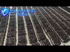 Automatic Black Sesame Bar Production Line with High Speed