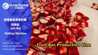 Fruit Bar Processing Line
