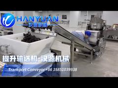 Transport Conveyor