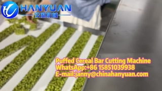 Cereal Bar Production Line Fully Automatic Granola Bar Production Line | Granola Bar Making & Precis