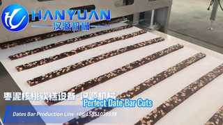 Date Bar Servo Cutting Machine