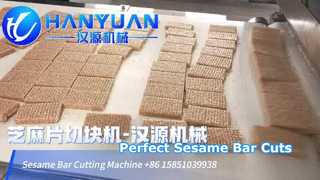 How to Make the Sesame Candy Bar with Hanyuan Servo Cutting Machine