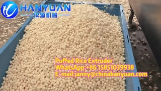 Puffed Rice Extruder Machine Product Introduction